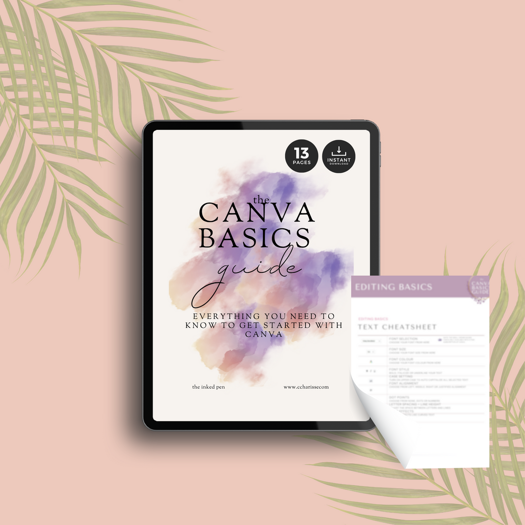 Canva Basics for Beginners Guide